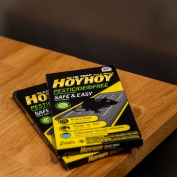 Hoy Hoy Regular Sized trap 